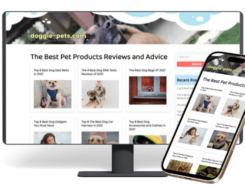 שם הפרויקט 6